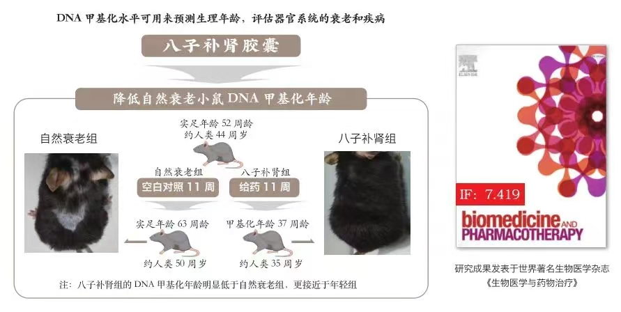 金日光教授:【《黄帝内经》为何是中医大学科最上等的医典?•五十】最近有些群友说,在世界上真有能使人抗衰老又能健康长寿的药?(图8) 19.jpg