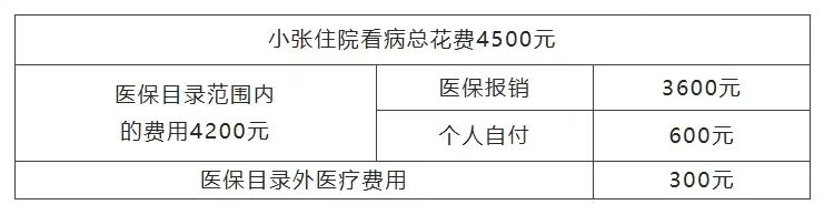 医保统筹支付、个人自付、个人自费……都是啥意思?(图9) 11.jpg