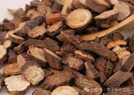 金日光教授:【《黄帝内经》为何是中医大学科最上等的医典?•五十一】三味药能冲掉血管里的所有瘀堵?(图3) 8.png