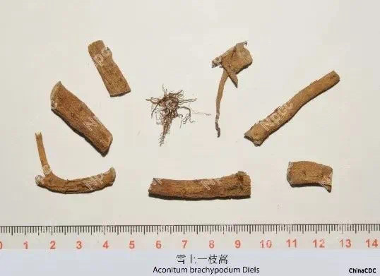 3毫克就致命!男子却3次吃它,3次中毒被抢救!(图3) 9.jpg