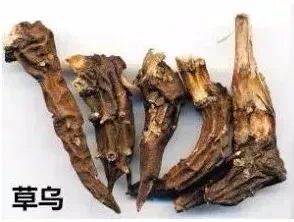 3毫克就致命!男子却3次吃它,3次中毒被抢救!(图4) 10.png