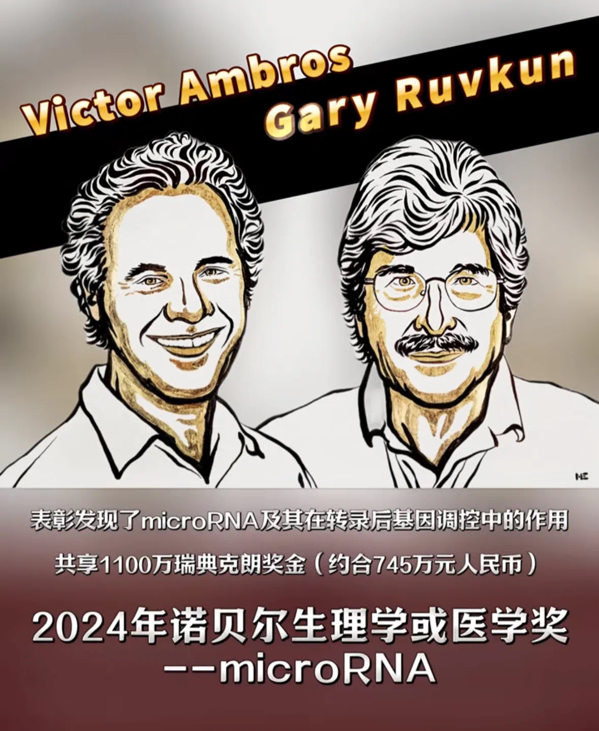 金日光教授:【《黄帝内经》为何是中医大学科最上等的医典?•五十三】今年生物诺奖研究的是miRNA,可以用来说明双胞胎的种种差别?(图1) 29.jpg