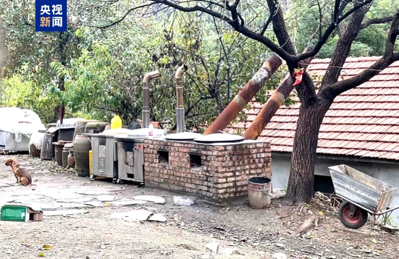 红薯粉里没红薯,“东北雨姐”虚假宣传被罚165万元(图2) 6.png