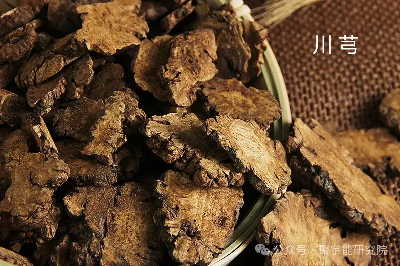 金日光教授:【《黄帝内经》为何是中医大学科最上等的医典?•五十四】治抑郁症的五味药为何能作用?(图8) 10.png