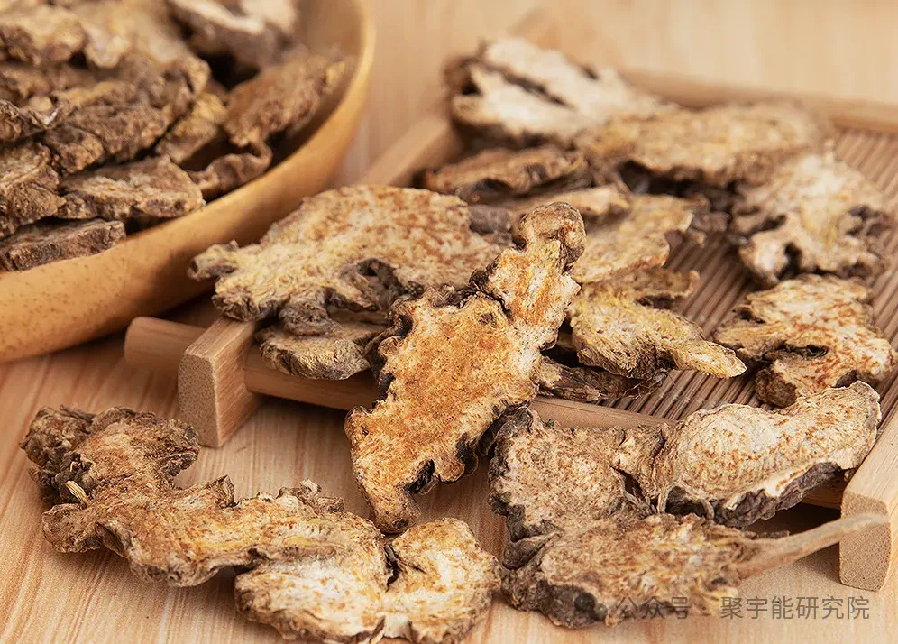 金日光教授:【《黄帝内经》为何是中医大学科最上等的医典?•五十四】治抑郁症的五味药为何能作用?(图9) 11.png