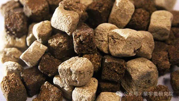 金日光教授:【《黄帝内经》为何是中医大学科最上等的医典?•五十四】治抑郁症的五味药为何能作用?(图10) 12.jpg