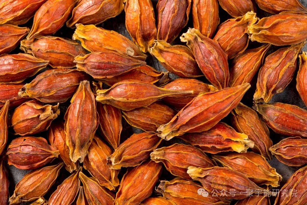 金日光教授:【《黄帝内经》为何是中医大学科最上等的医典?•五十四】治抑郁症的五味药为何能作用?(图11) 13.jpg