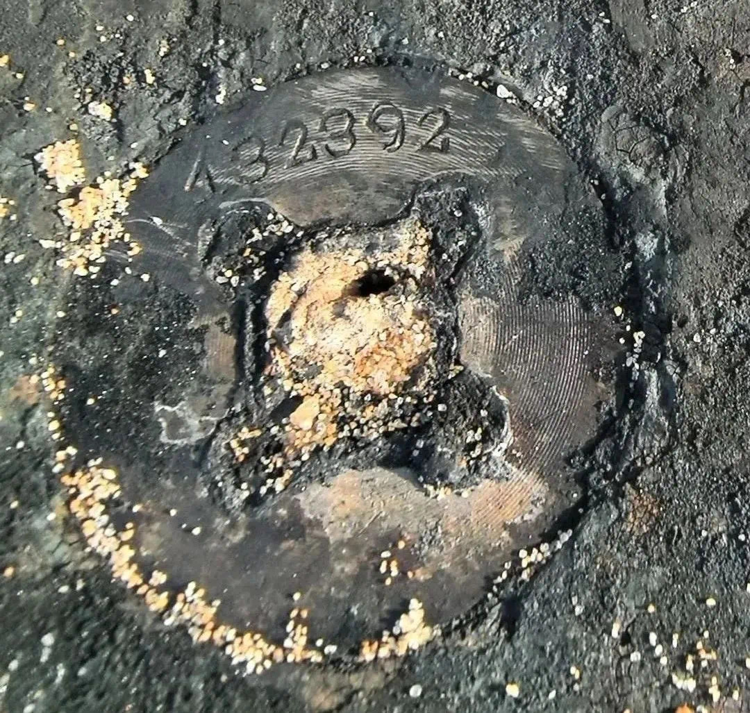 山东威海海上漂来不明物体,竟是……(图4) 6.jpg