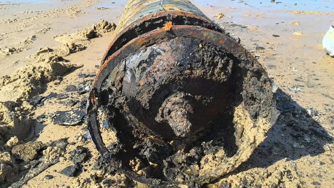 山东威海海上漂来不明物体,竟是……(图3) 5.jpg