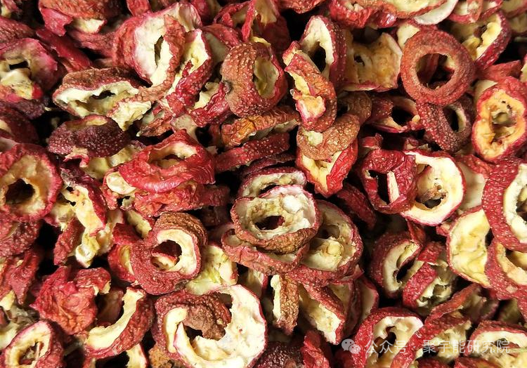 金日光教授:【《黄帝内经》为何是中医大学科最上等的医典?•五十八】问:为何不用李秀诊大夫的简易方子,来治心脑血管未病?(图1) 7.png