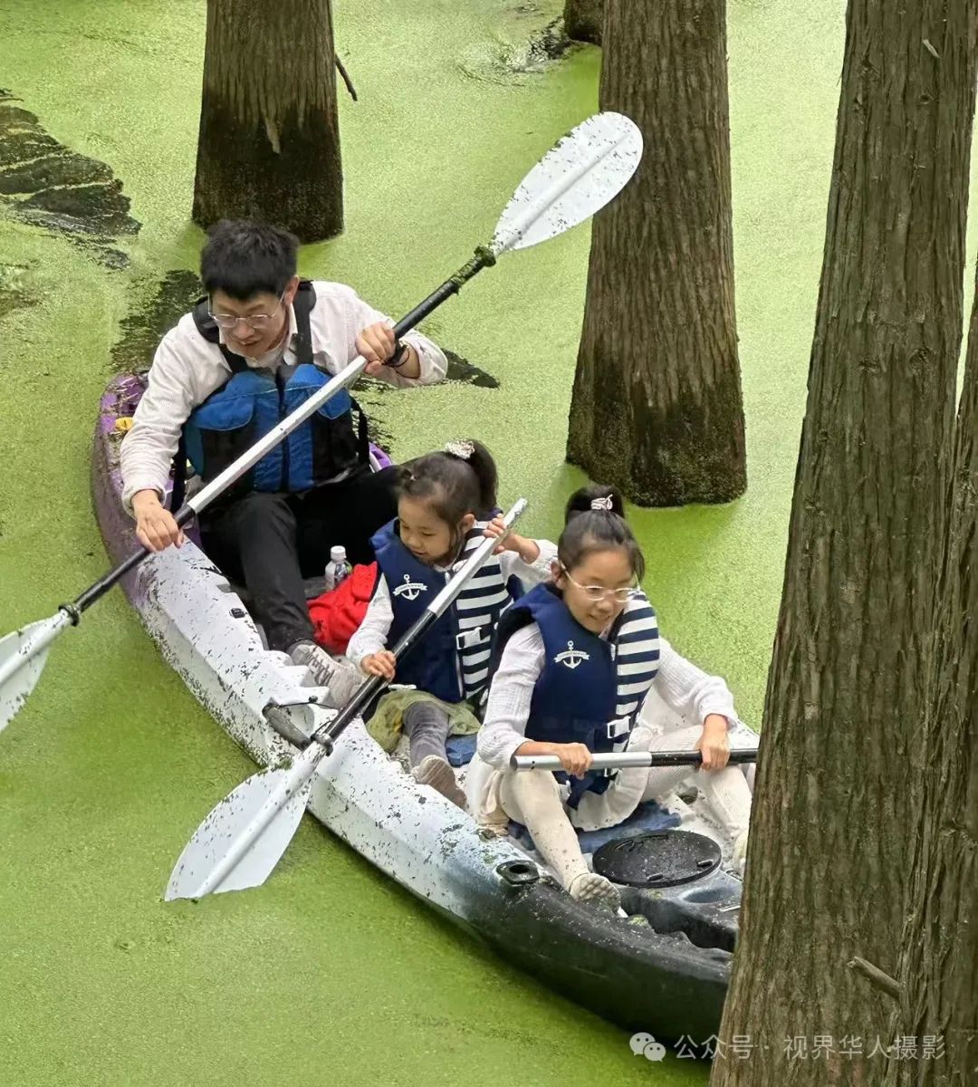 岑国荣|青山湖水上森林的奇幻世界(图2) 640.jpg