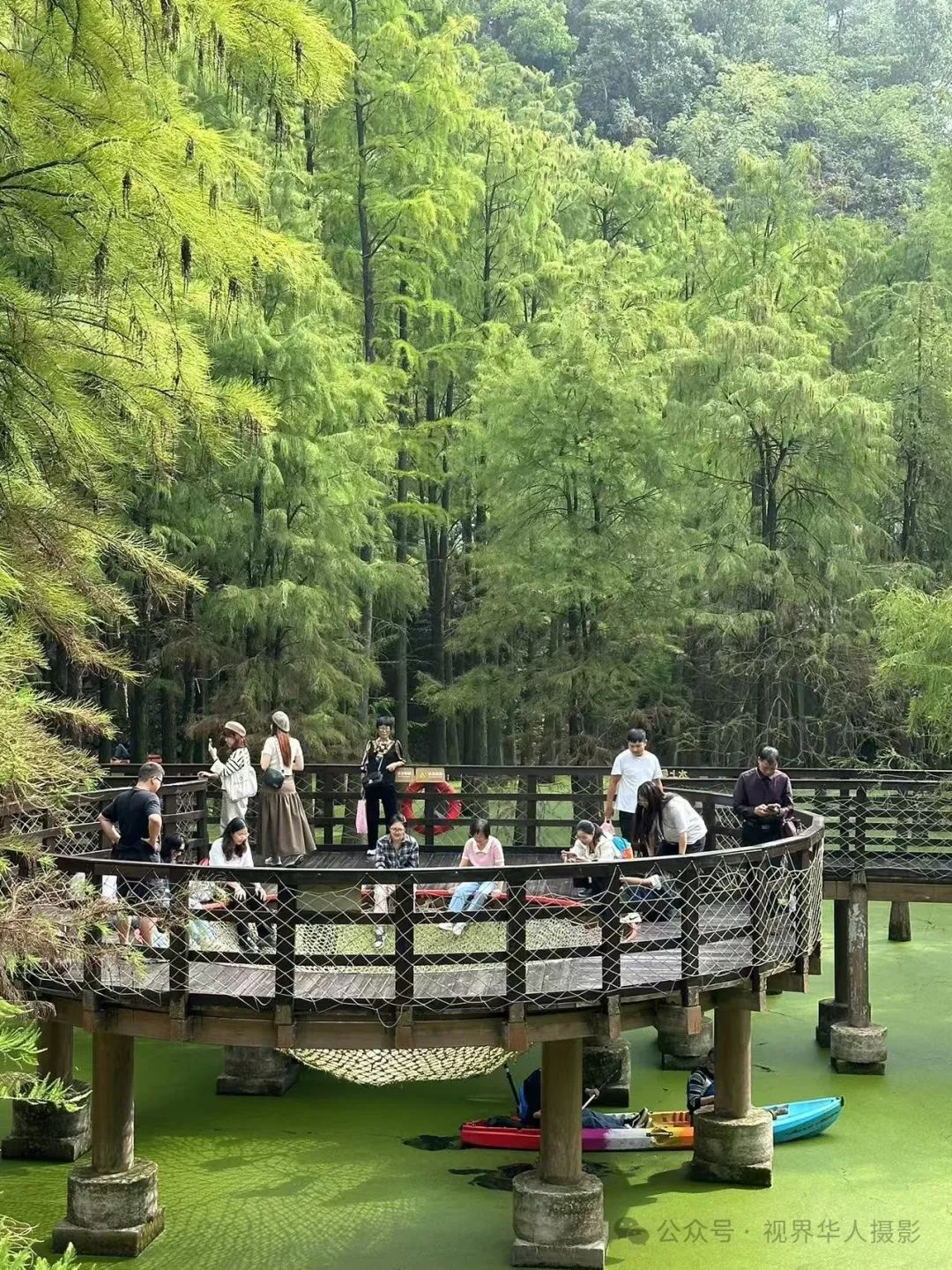 岑国荣|青山湖水上森林的奇幻世界(图9) 640.jpg