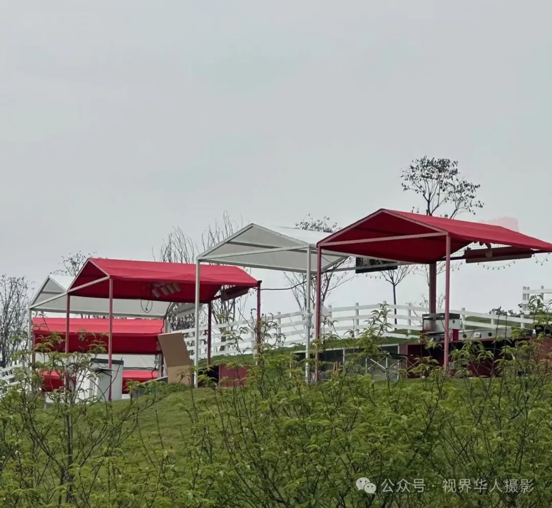 岑国荣|青山湖水上森林的奇幻世界(图11) 640.jpg