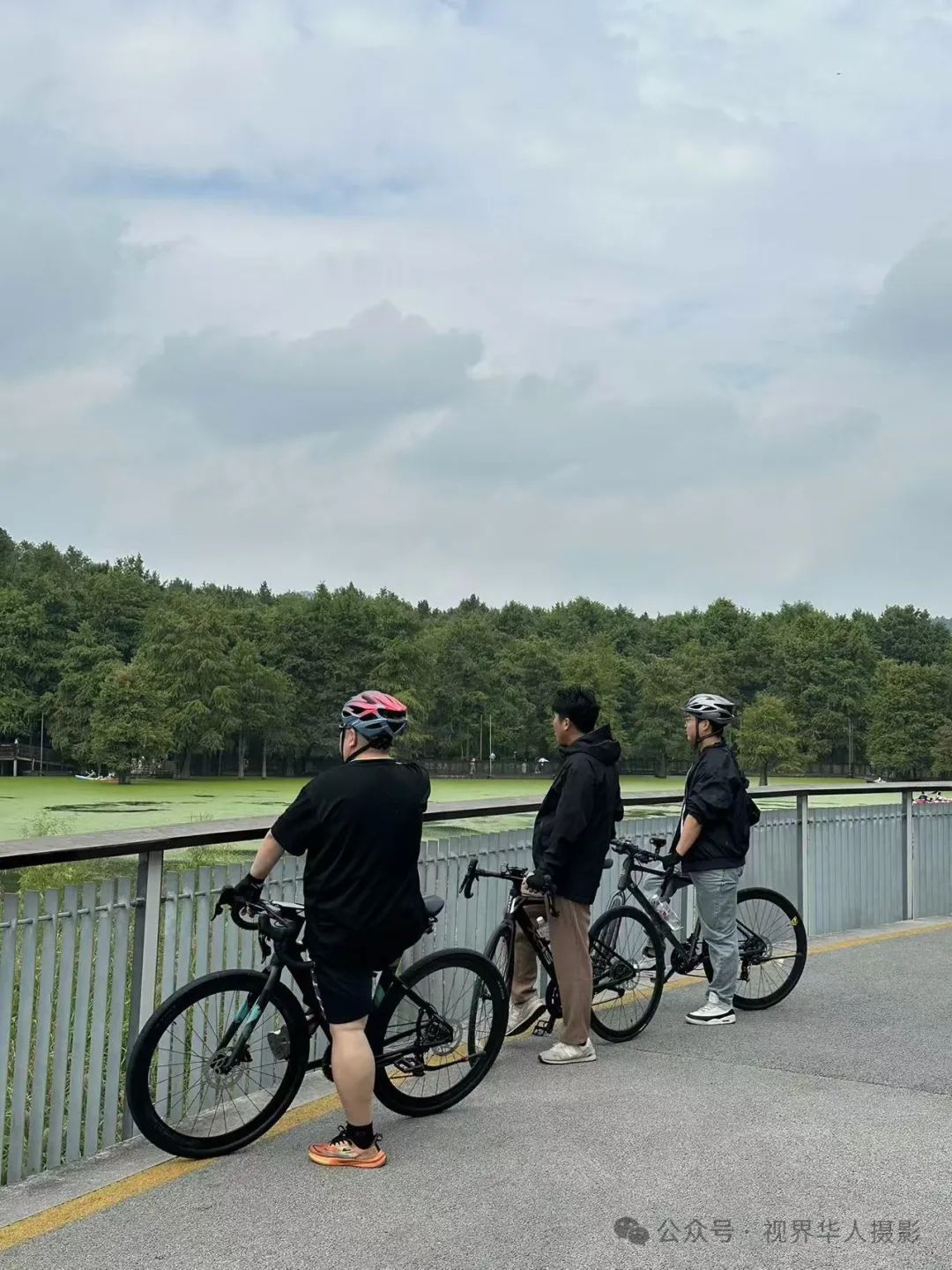 岑国荣|青山湖水上森林的奇幻世界(图13) 640.jpg