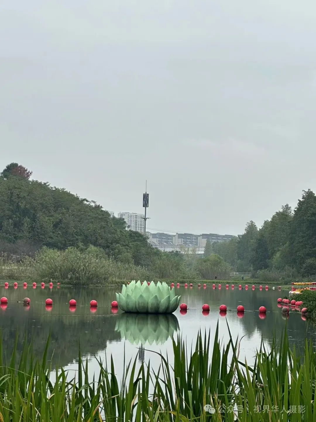 岑国荣|青山湖水上森林的奇幻世界(图23) 640.jpg