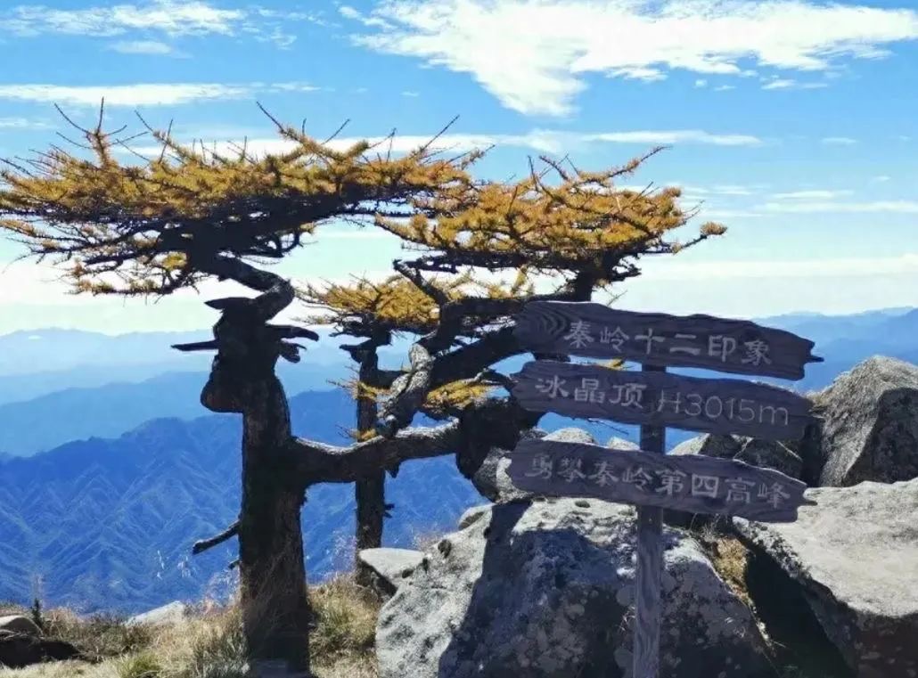 西安情侣深夜冻死在山上,被找到时双目圆睁,坚信人定胜天……(图3) 4.jpg