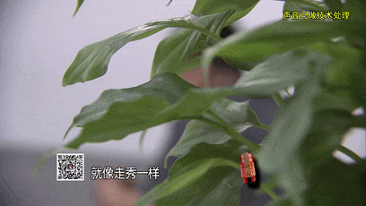 太蹊跷!上海一足浴店报警:表演系女大学生来应聘,第二天竟集体消失(图3) 640.gif