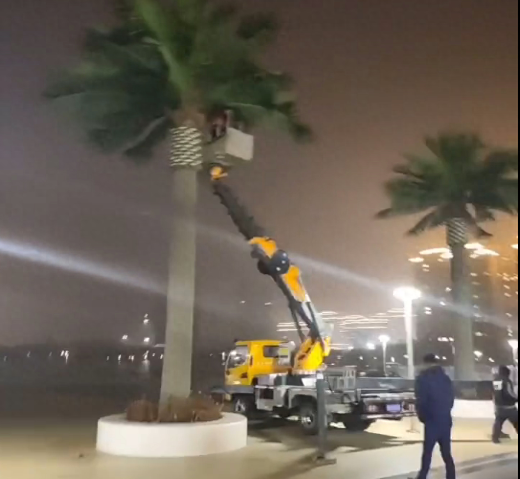 县政府花1305万建设仿真椰子树、雕塑等,中央点名通报(图1) 4.png