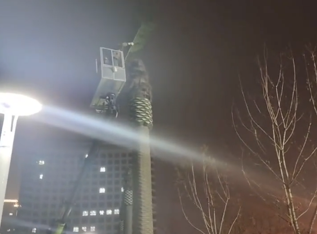 县政府花1305万建设仿真椰子树、雕塑等,中央点名通报(图2) 5.png