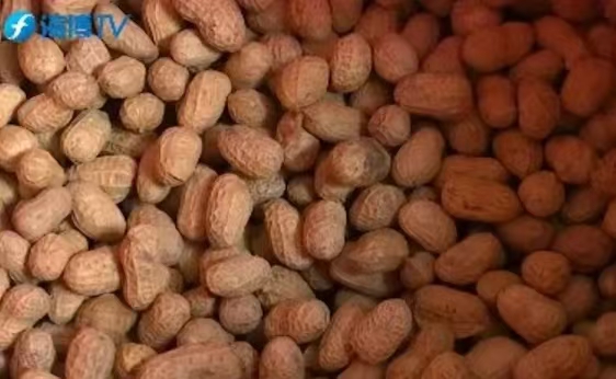 毒性是砒霜的68倍!女子吃完险丧命……很多人爱吃→(图3) 33.jpg