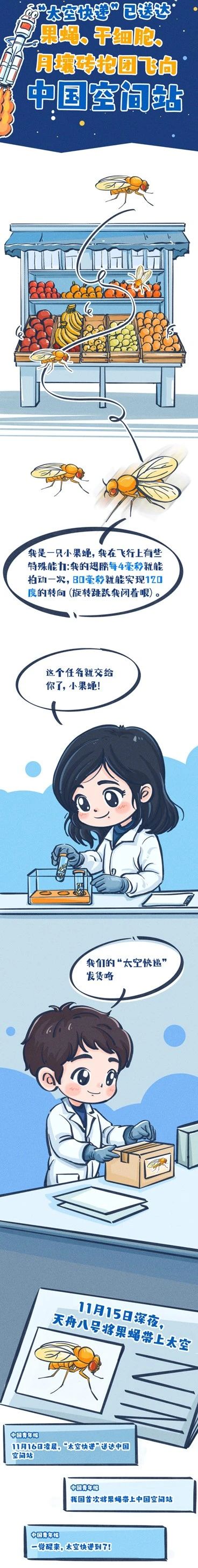 太空快递到了!为何要带“果蝇”上天?(图4) 04.jpg