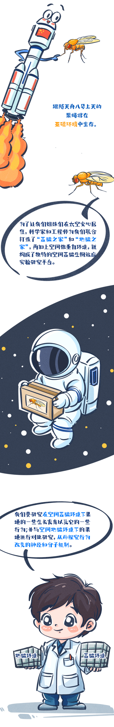 太空快递到了!为何要带“果蝇”上天?(图6) 06.png