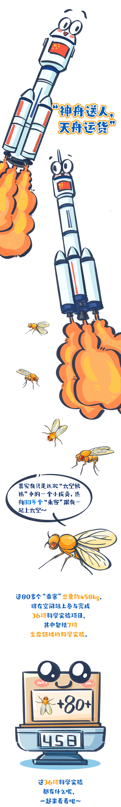 太空快递到了!为何要带“果蝇”上天?(图7) 07.png