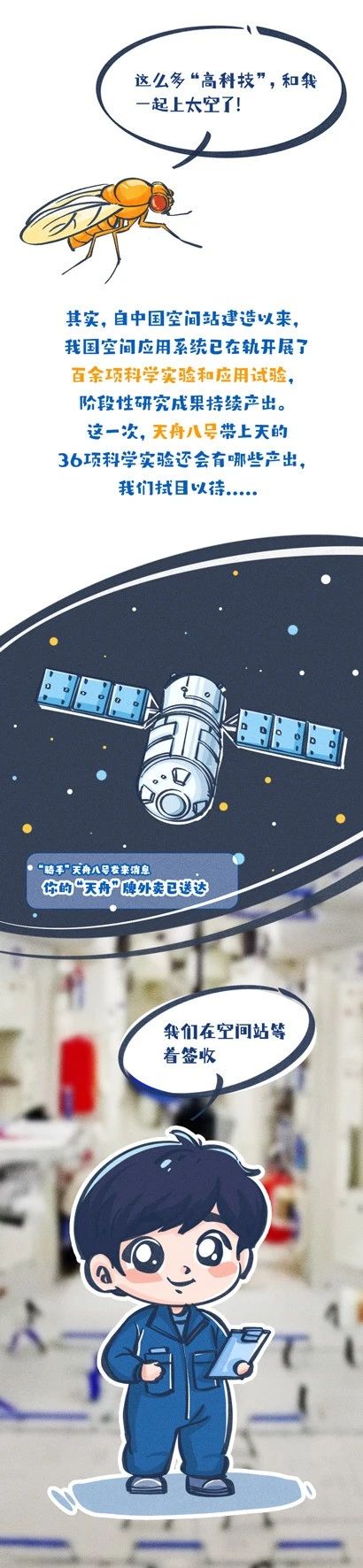 太空快递到了!为何要带“果蝇”上天?(图9) 9.jpg