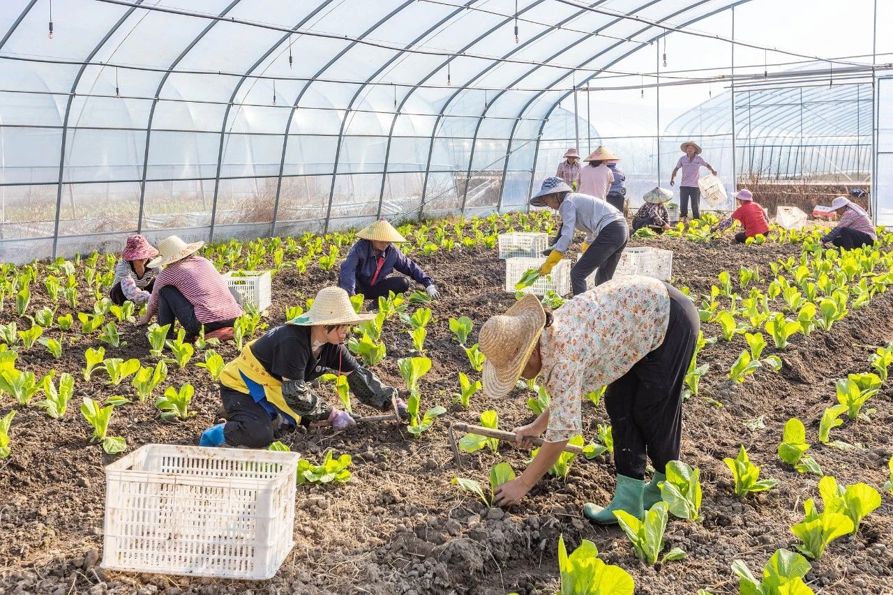 事关农民工城镇落户、社保、随迁子女入学!10部门联合发布→(图2) 22.jpg