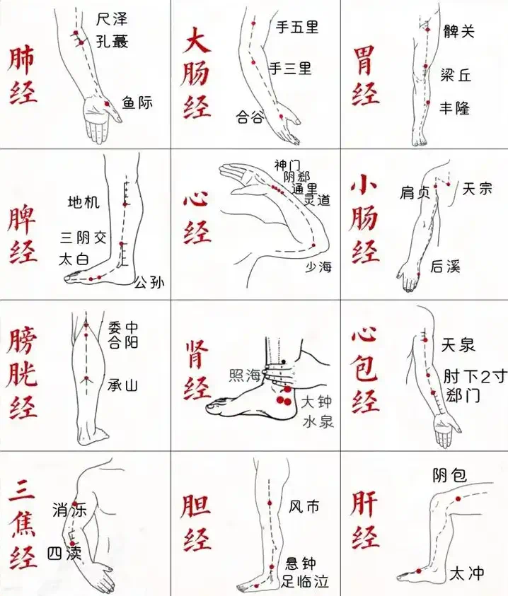 金日光教授:【《黄帝内经》为何是中医大学科最上等的医典?•七十五】人体经脉里真有天生让你容易得心脑血管病的经络及奇穴?(图3) 23.png