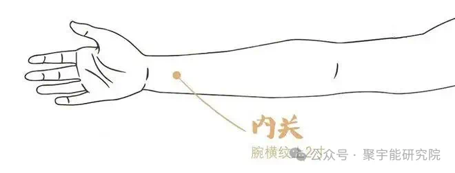 金日光教授:【《黄帝内经》为何是中医大学科最上等的医典?•七十五】人体经脉里真有天生让你容易得心脑血管病的经络及奇穴?(图4) 24.png