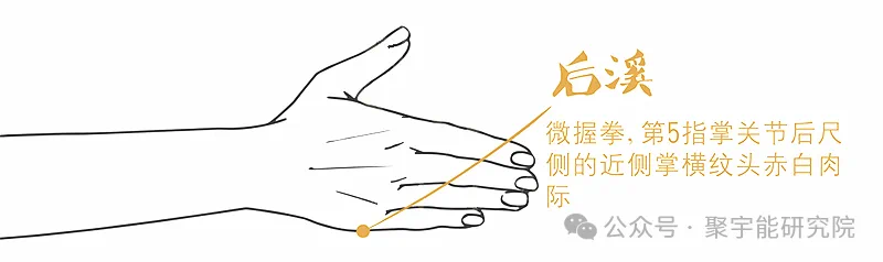 金日光教授:【《黄帝内经》为何是中医大学科最上等的医典?•七十五】人体经脉里真有天生让你容易得心脑血管病的经络及奇穴?(图7) 27.png