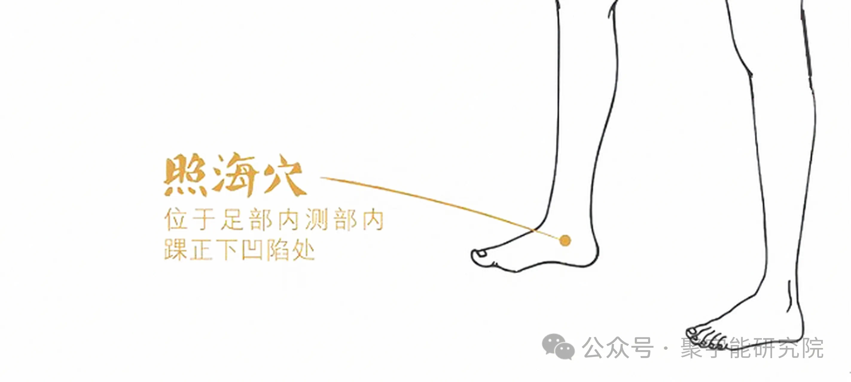 金日光教授:【《黄帝内经》为何是中医大学科最上等的医典?•七十五】人体经脉里真有天生让你容易得心脑血管病的经络及奇穴?(图8) 28.jpg