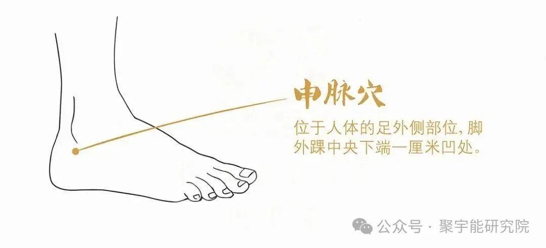 金日光教授:【《黄帝内经》为何是中医大学科最上等的医典?•七十五】人体经脉里真有天生让你容易得心脑血管病的经络及奇穴?(图9) 29.jpg