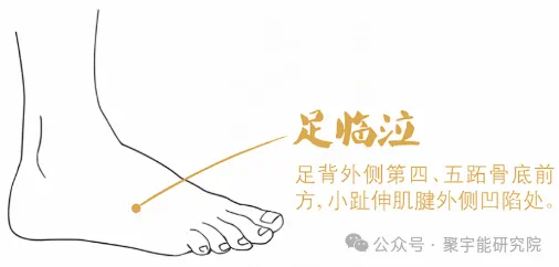 金日光教授:【《黄帝内经》为何是中医大学科最上等的医典?•七十五】人体经脉里真有天生让你容易得心脑血管病的经络及奇穴?(图11) 31.png