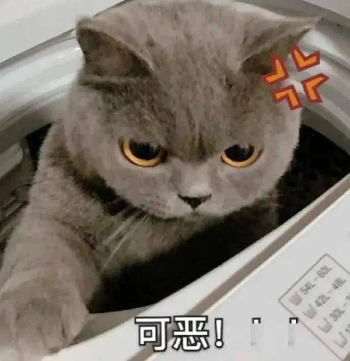 "张文宏"开始深夜带货?已售出1266件…紧急提醒→(图7) g.jpg