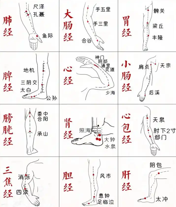 我和动力液的故事——接连查出宫颈癌和肺小结节癌,自己是医生,却不敢去复查(图5) 44.png