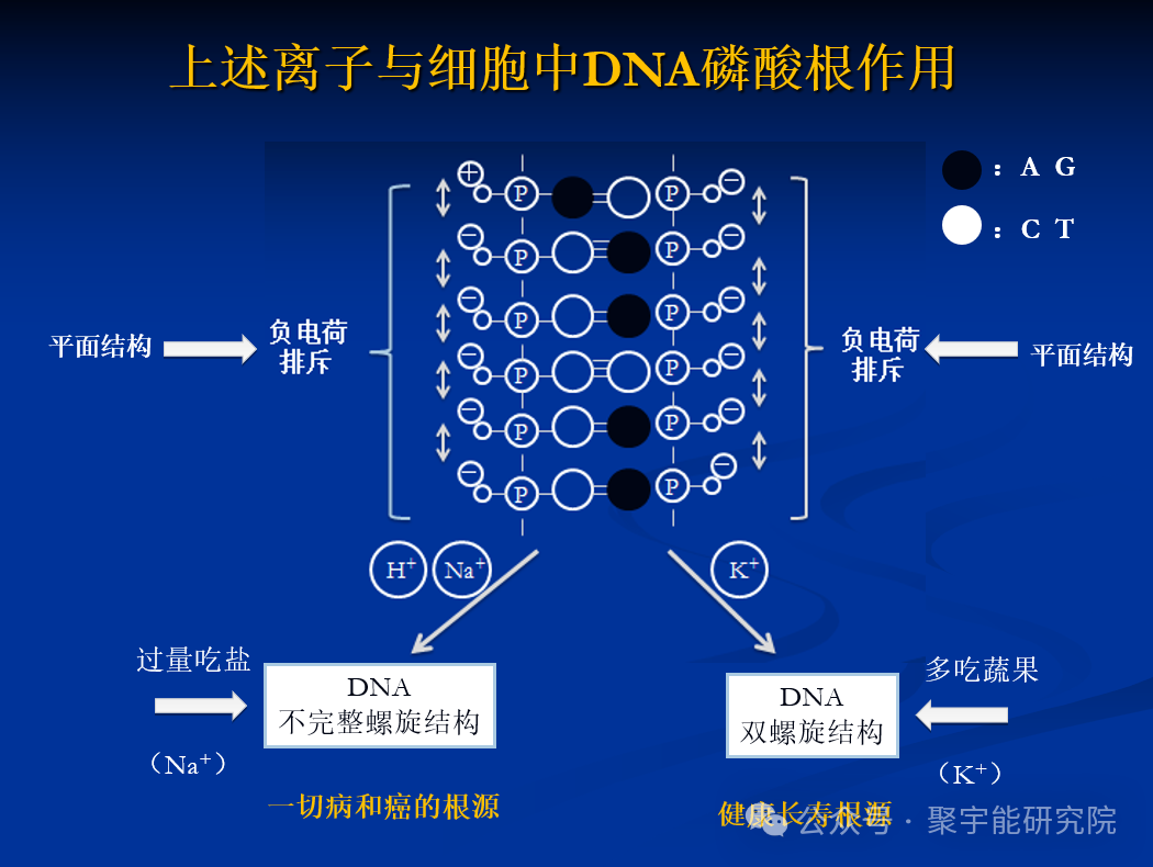 金日光教授:【《黄帝内经》为何是中医大学科最上等的医典?•七十九】《内经》说不要过多摄入盐,如得“盐病”可以用砭石治疗,为什么?(图4) 22.png