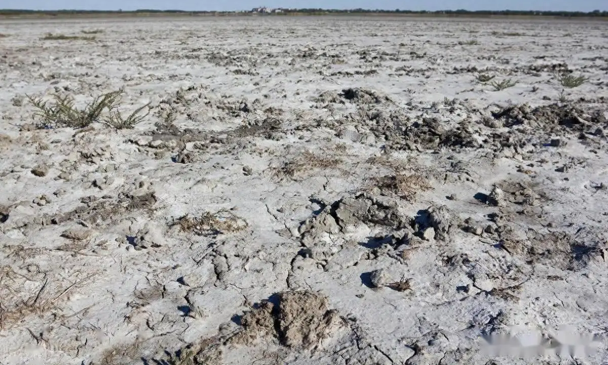 金日光教授:【《黄帝内经》为何是中医大学科最上等的医典?•七十九】《内经》说不要过多摄入盐,如得“盐病”可以用砭石治疗,为什么?(图5) 33.png