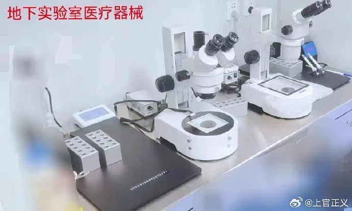 官方通报“一公司开展非法代孕”:针对涉公职人员线索正在核查(图1) 11.jpg