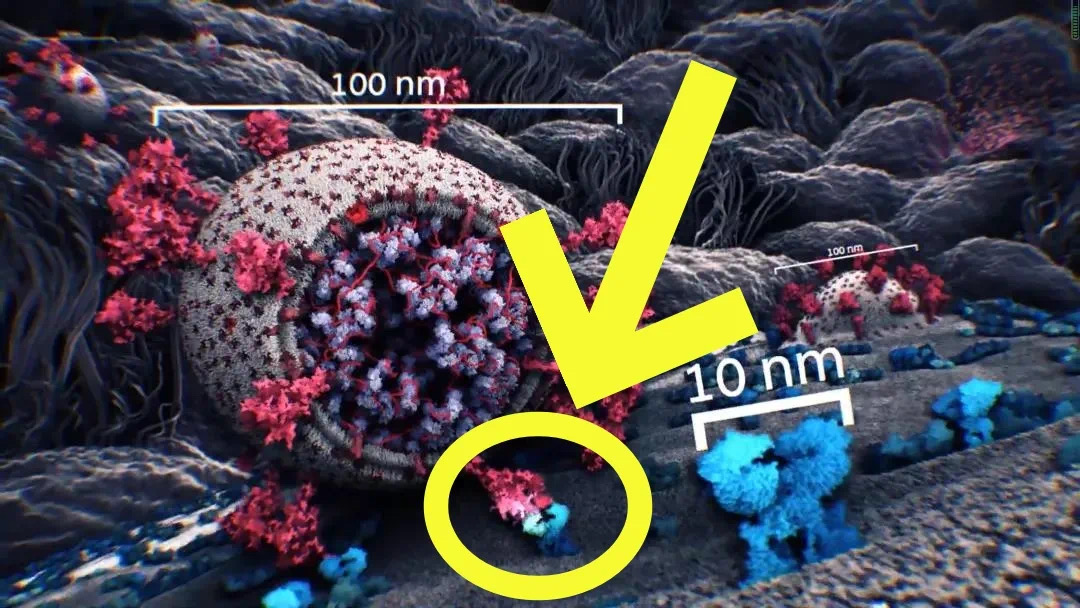 我和动力液的故事——排毒半年后,爆表三倍的高血脂终于正常了(图4) 微信图片_20241228184653.jpg