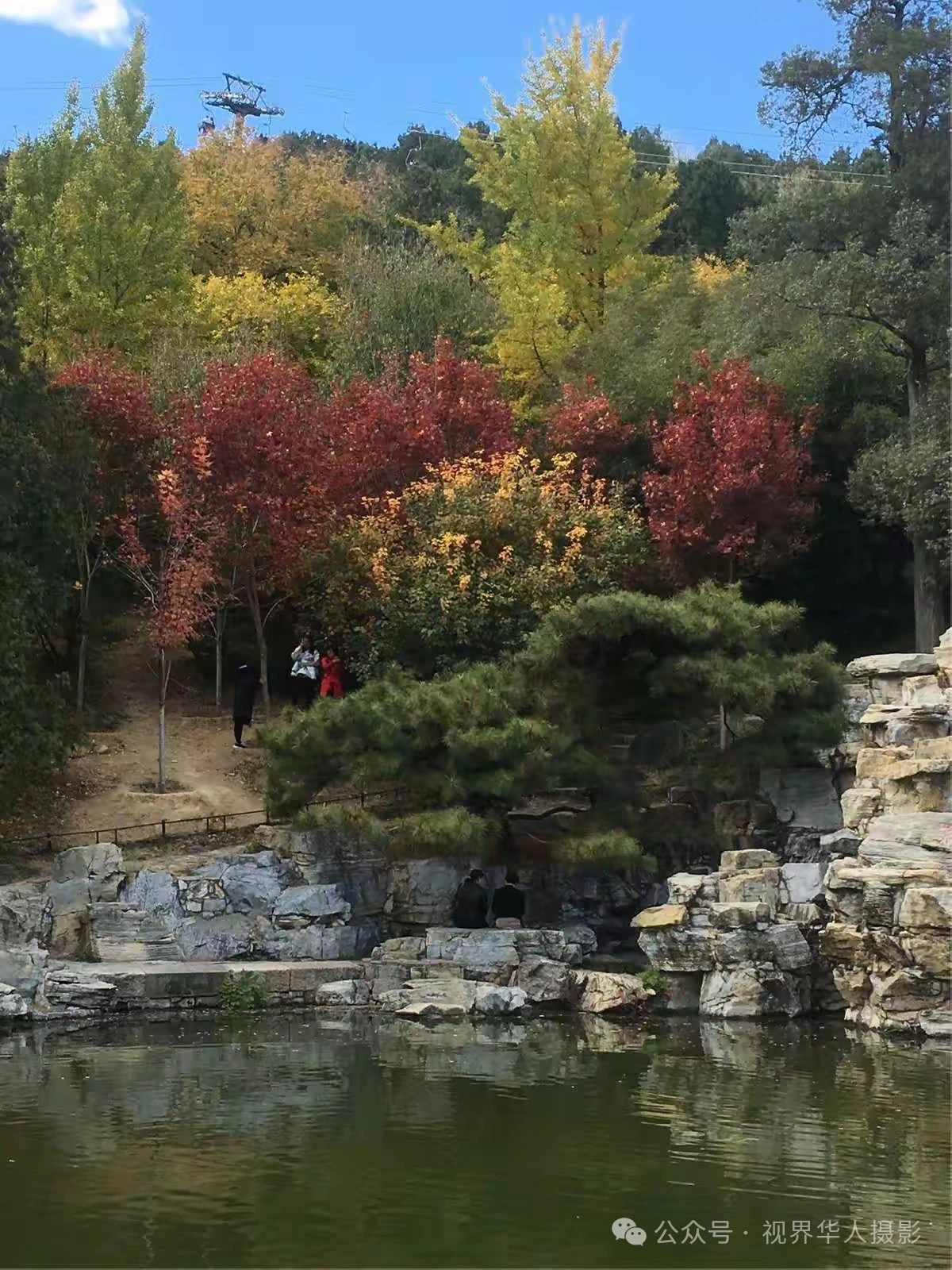 岑国荣|枫叶之韵(图3) 微信图片_202412311450221.jpg