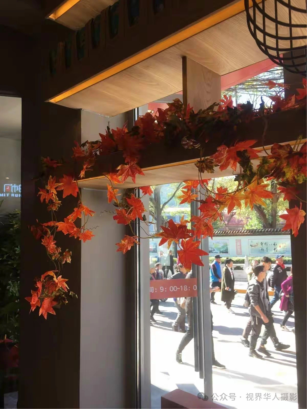 岑国荣|枫叶之韵(图7) 微信图片_202412311450233.jpg