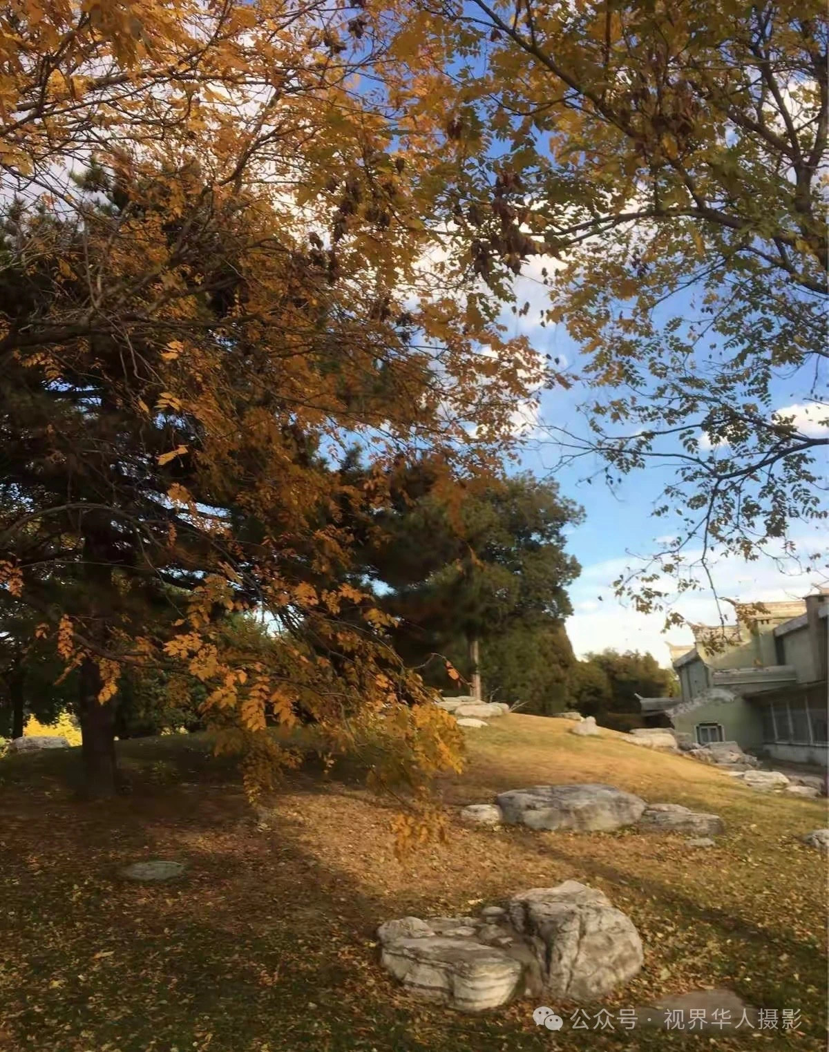 岑国荣|枫叶之韵(图10) 微信图片_202412311450242.jpg