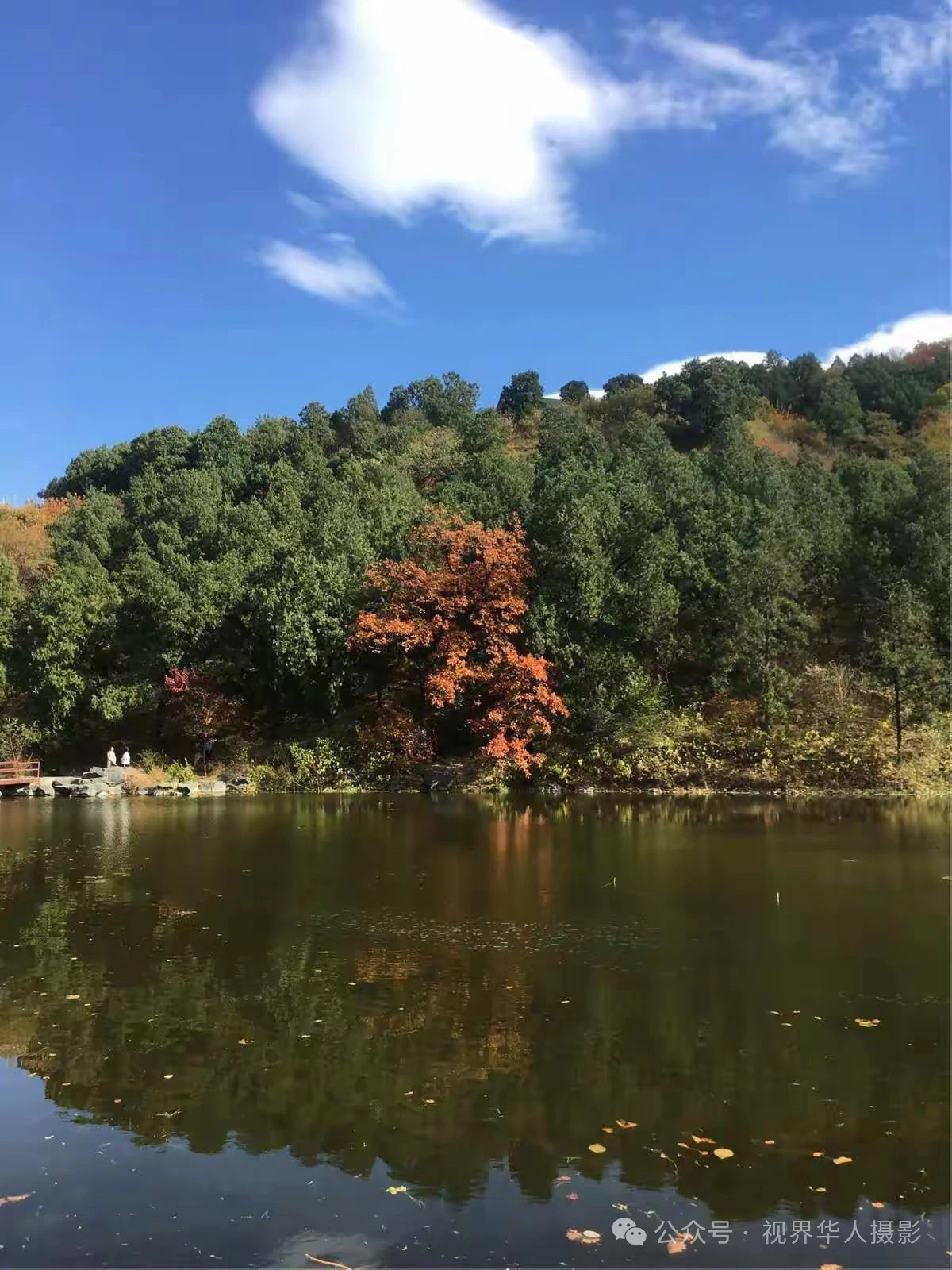 岑国荣|枫叶之韵(图13) 微信图片_202412311450251.jpg