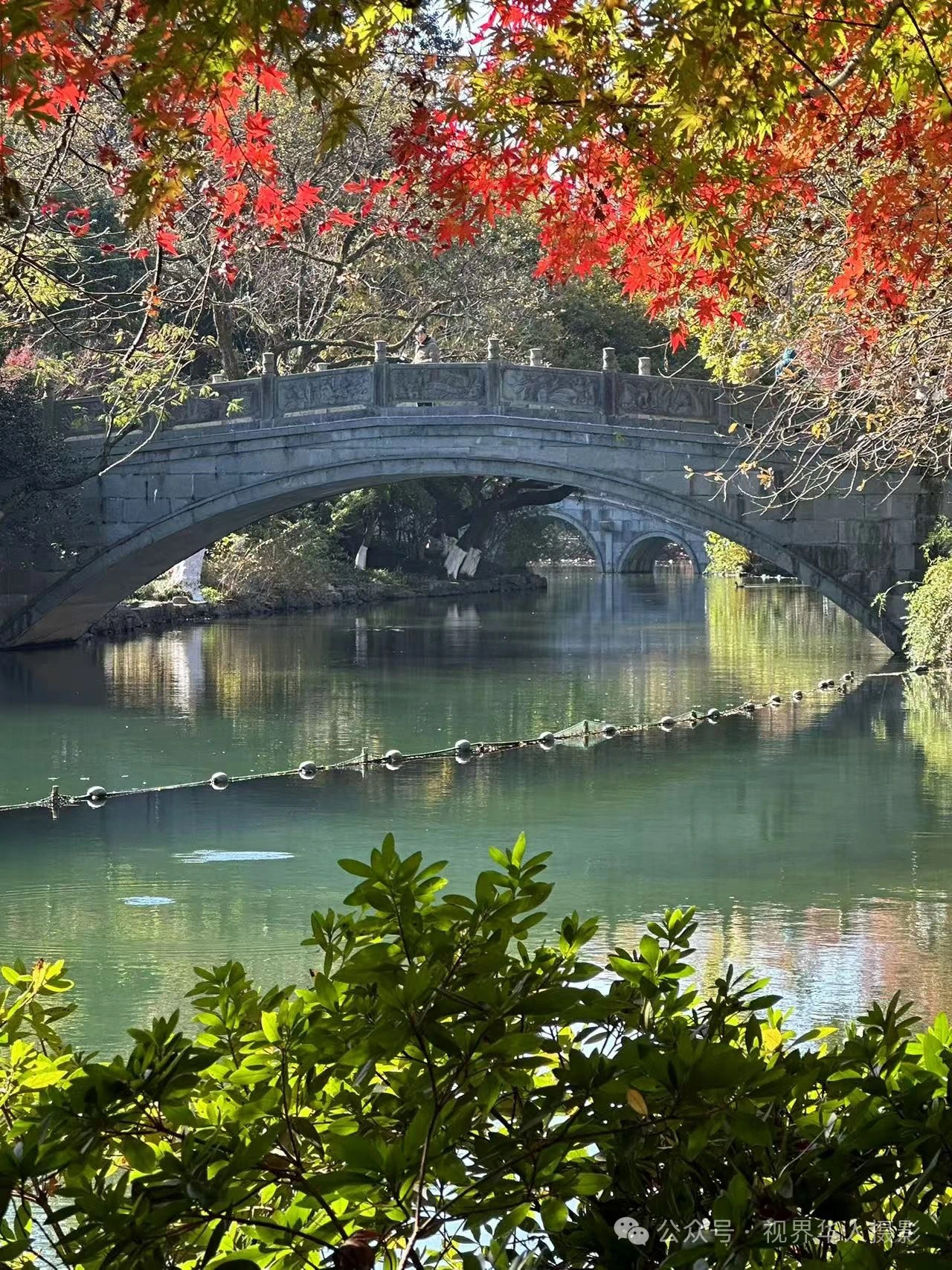 岑国荣|枫叶之韵(图35) 微信图片_202412311450311.jpg