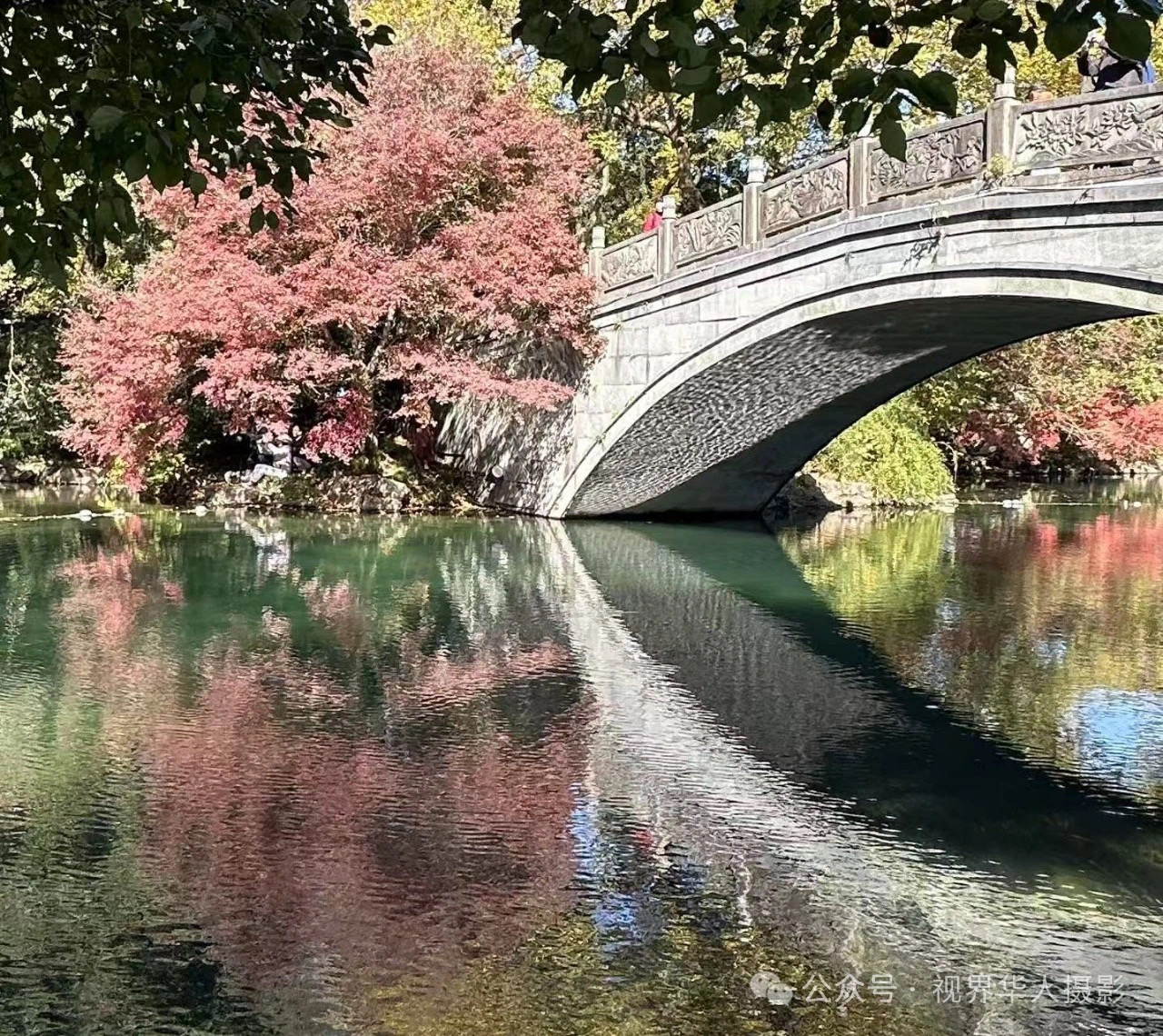 岑国荣|枫叶之韵(图38) 微信图片_20241231145032.jpg