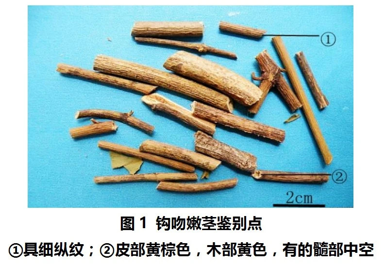 一盅汤放倒一家人,只因错认一味草药(图7) 微信图片_202501062207432.jpg