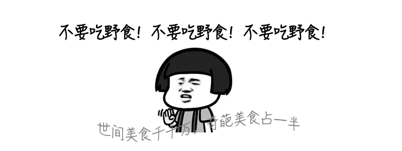 一盅汤放倒一家人,只因错认一味草药(图11) 微信图片_202501062207441.png