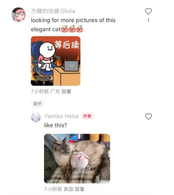 一夜之间,“TikTok难民”涌入小红书!评论区笑翻......(图3) 微信图片_202501142122002.png